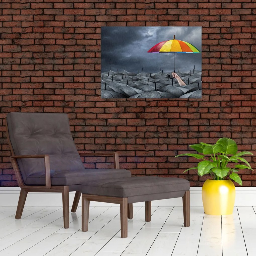 Obraz - Parasole (70x50 cm)