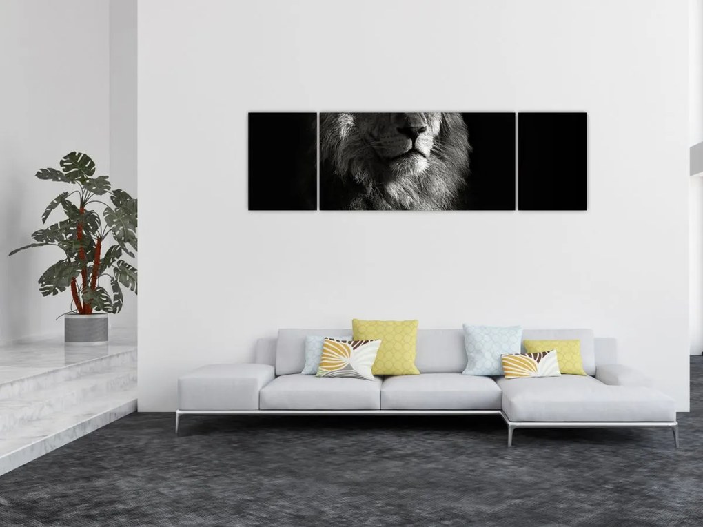 Obraz - Lew (170x50 cm)
