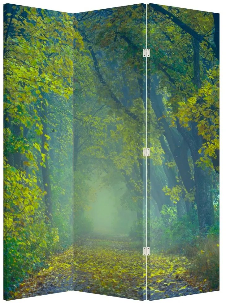 Parawan - Ścieżka wysadzana drzewami (126x170 cm)