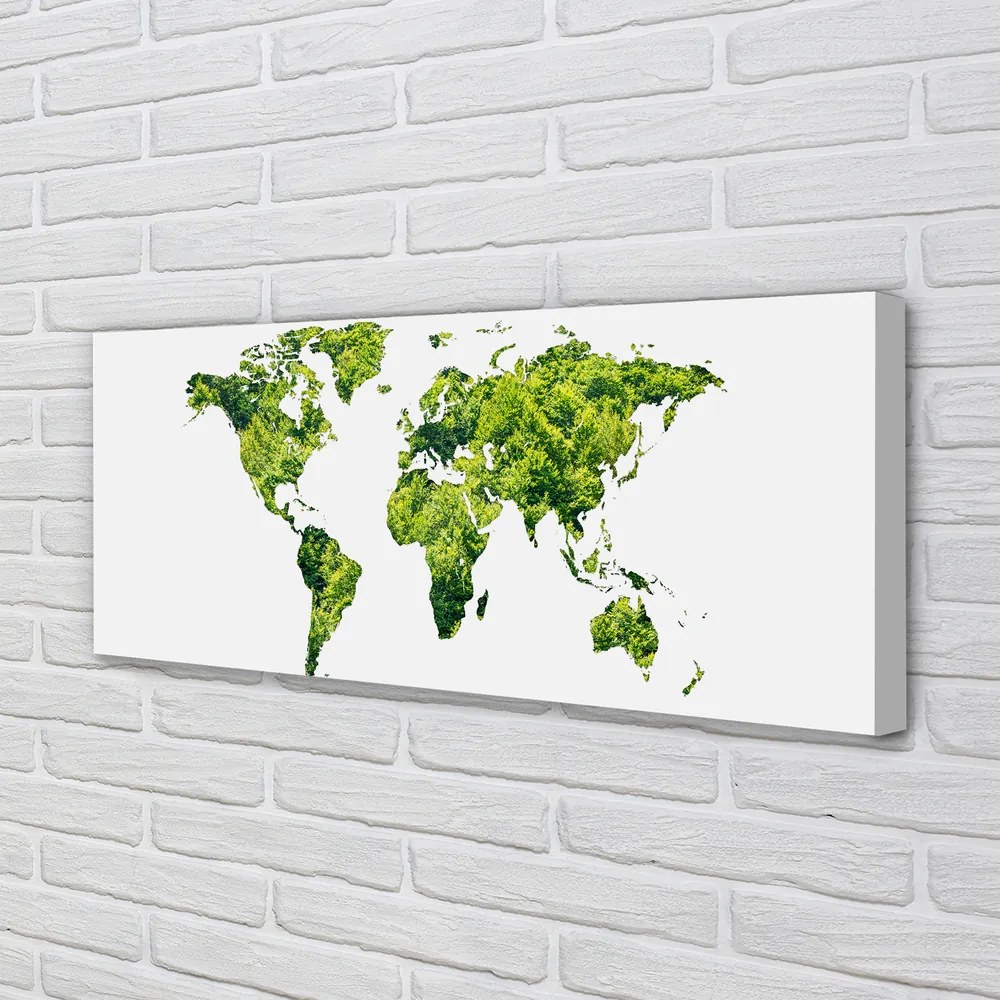 Obraz canvas na ścianę Mapa na Zielonej Trawie