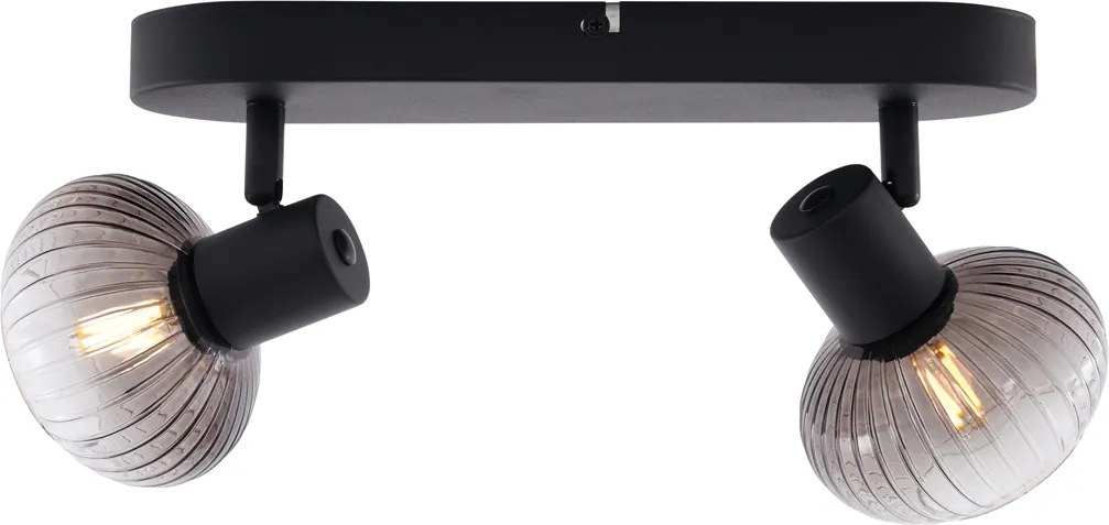 Okrągły reflektor sufitowy czarny z dymionym szkłem, 2-punktowy - Teddy