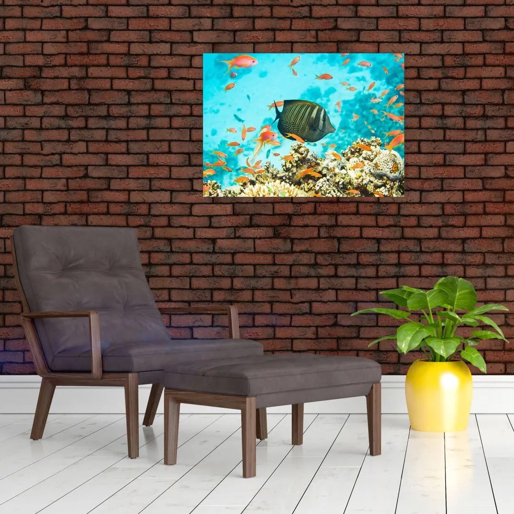 Obraz podwodnego świata (70x50 cm)