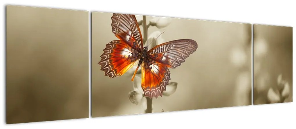 Obraz motyla (170x50 cm)