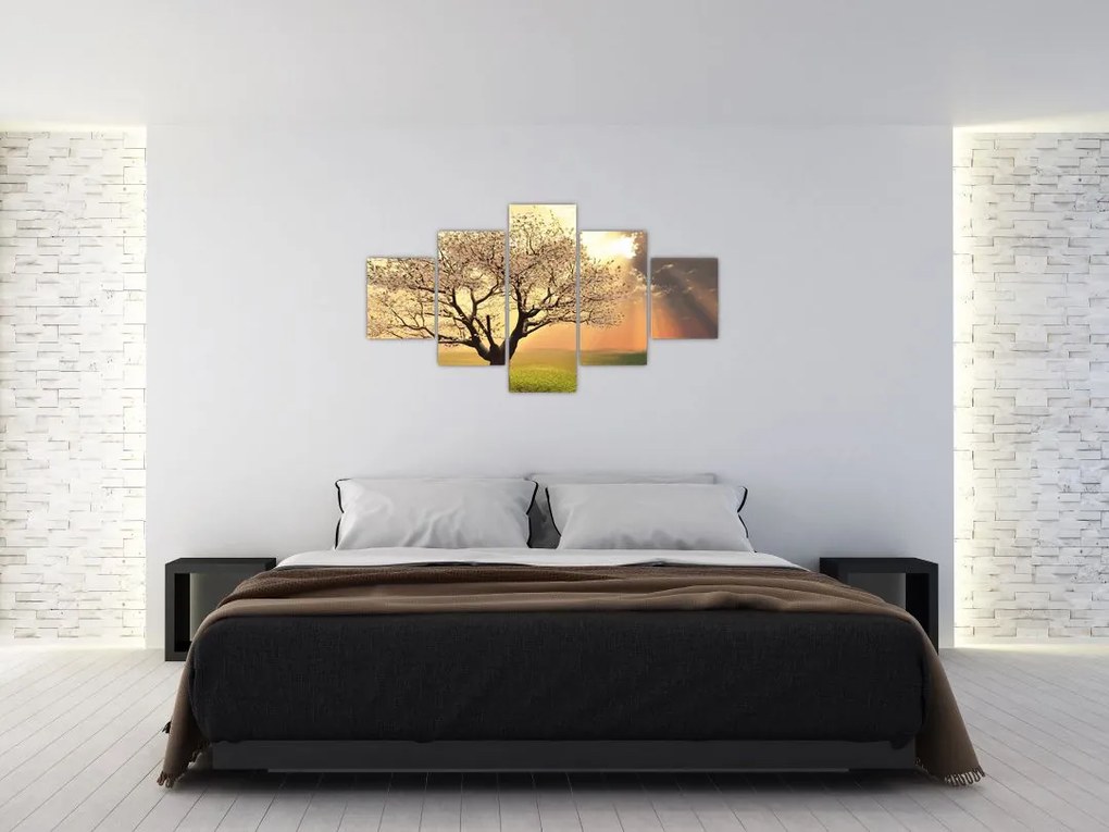 Obraz drzewa na łące (125x70 cm)
