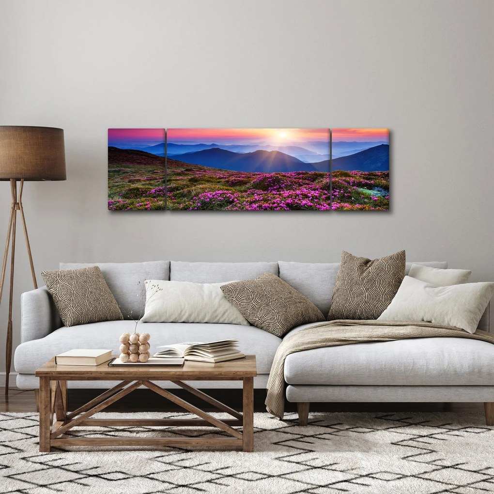 Obraz - Krajobraz kwitnących gór (170x50 cm)