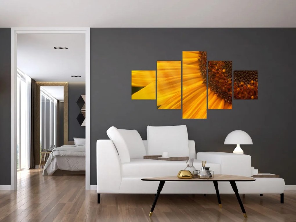 Obraz - Słoneczniki (125x70 cm)