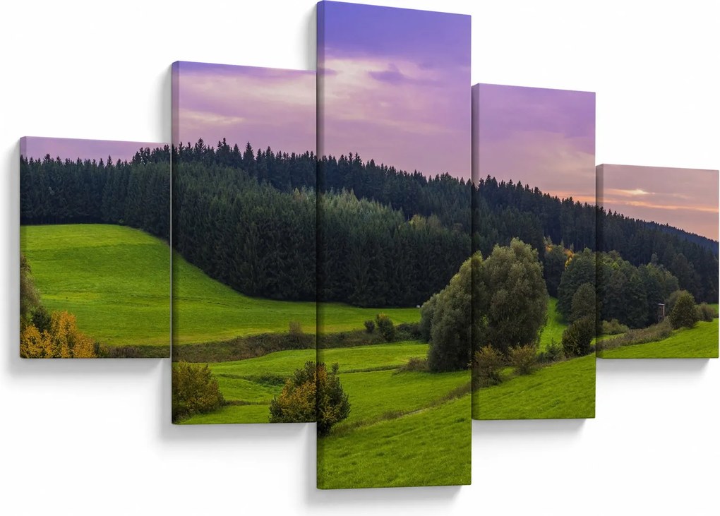 Obraz łąki (125x70 cm)