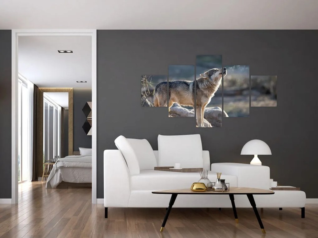 Obraz - Wyjący Wilk (125x70 cm)