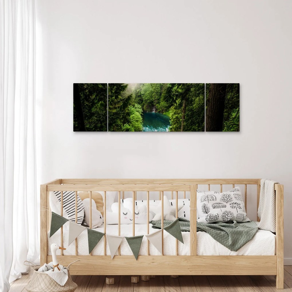 Obraz - Przestrzeń między drzewami (170x50 cm)