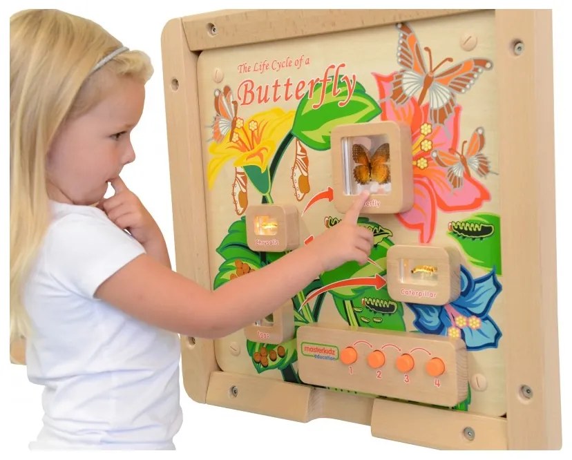 Cykl życia motylka tablica edukacyjna masterkidz