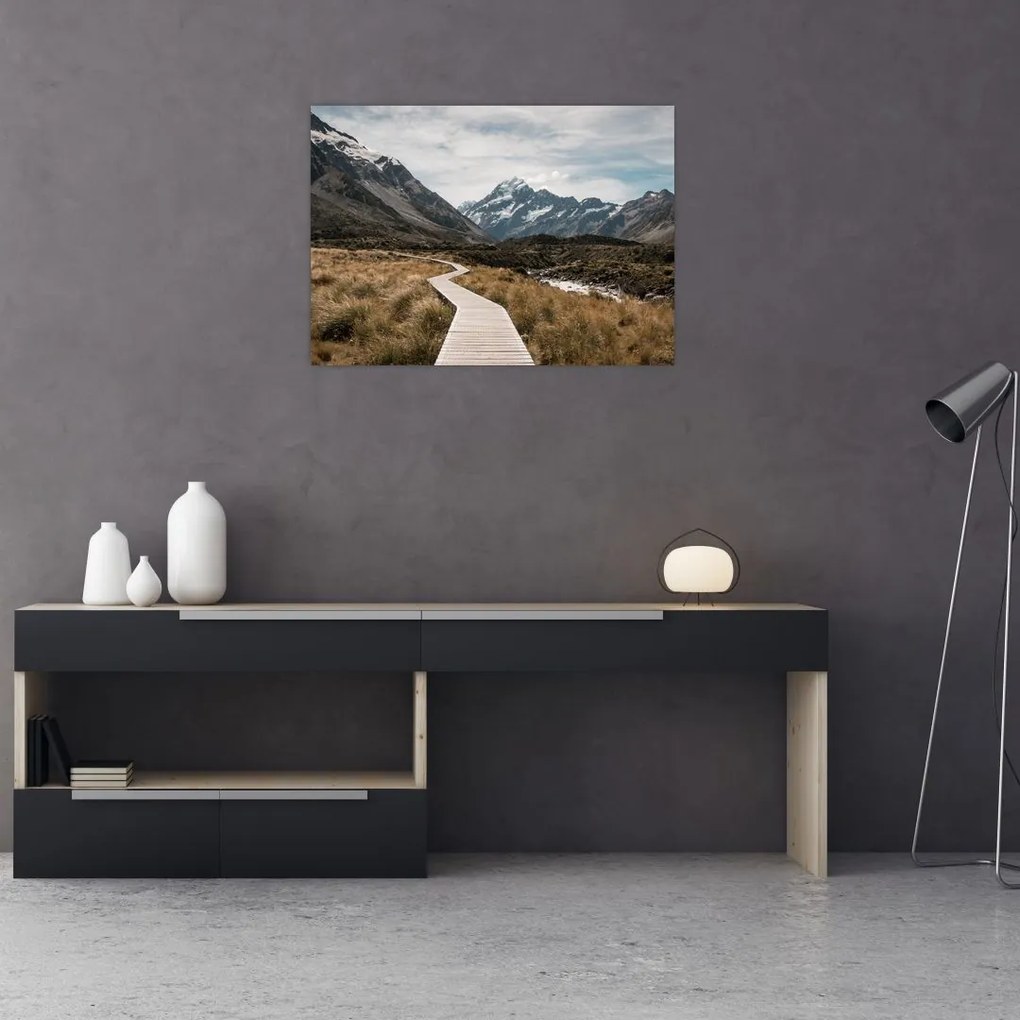 Obraz - Chodnik w dolinie góry Mt. Cook (70x50 cm)
