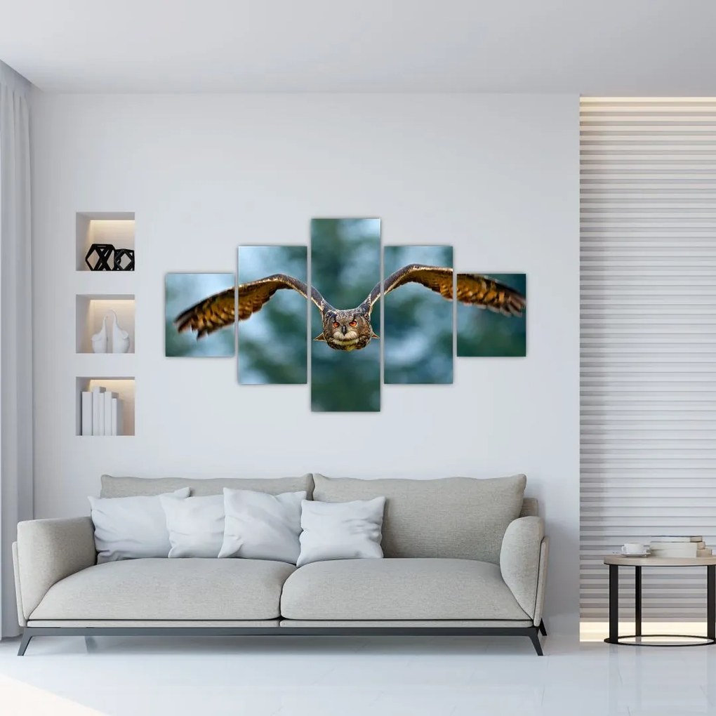Obraz - Sowa w locie (125x70 cm)