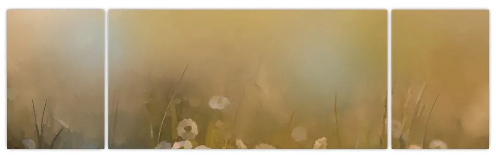 Obraz - Obraz olejny stokrotek (170x50 cm)