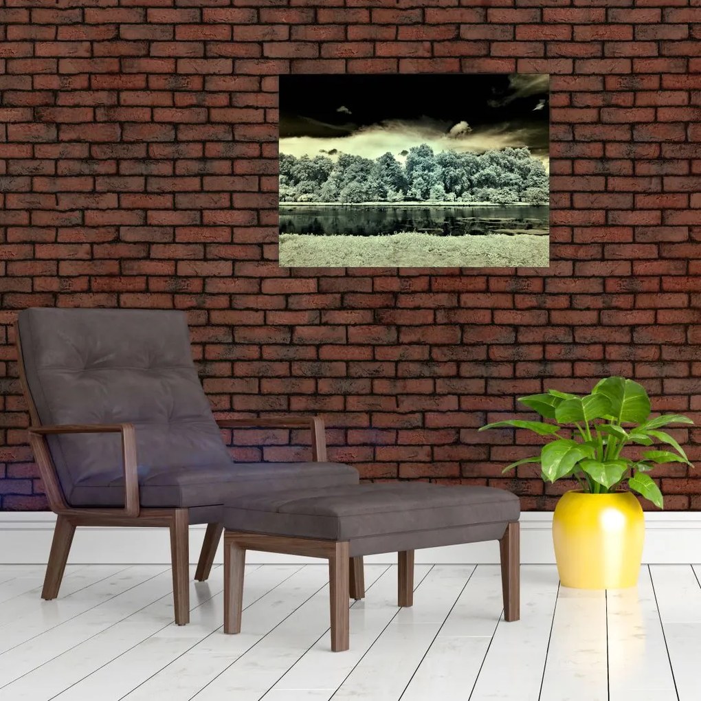 Obraz akwenu wodnego (70x50 cm)