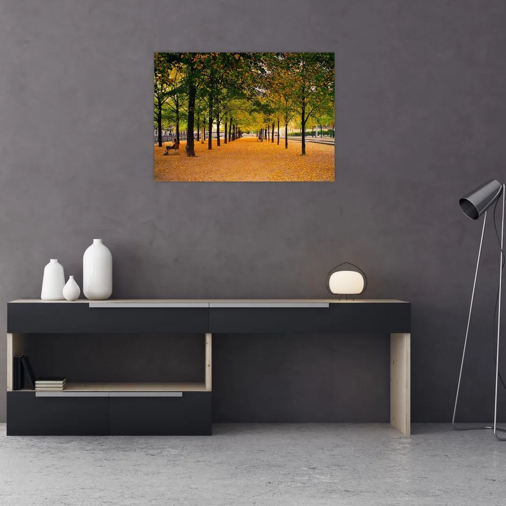 Obraz na szkle - aleja jesiennych drzew (70x50 cm)