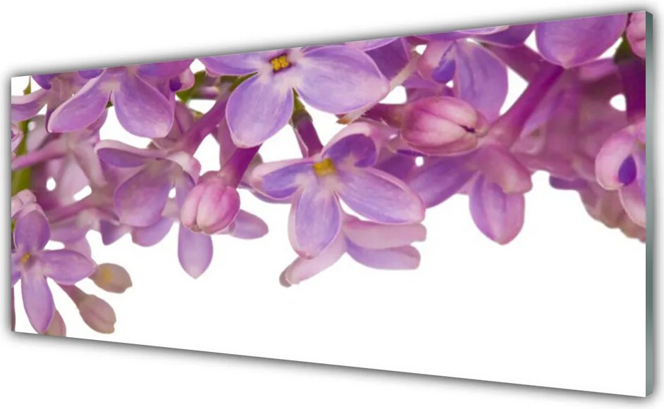 Szkło do Kuchni na Ścianę Kolorowa Łąka Na Szkle