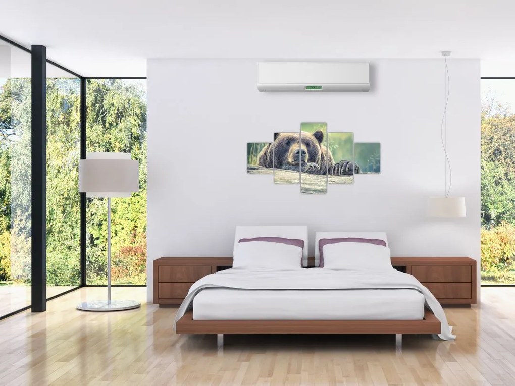 Obraz niedźwiedzia (125x70 cm)