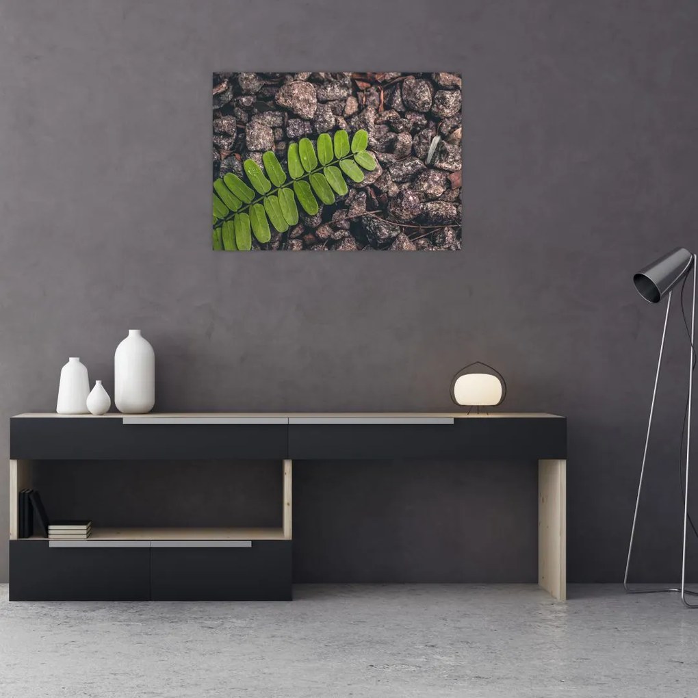 Obraz zielonej rośliny (70x50 cm)