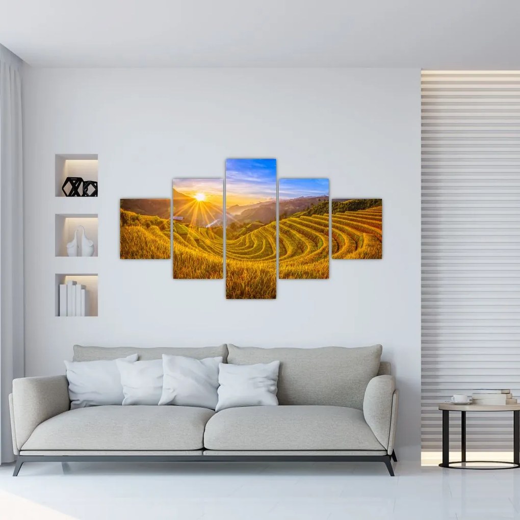 Obraz - Pole ryżowe w Wietnamie (125x70 cm)