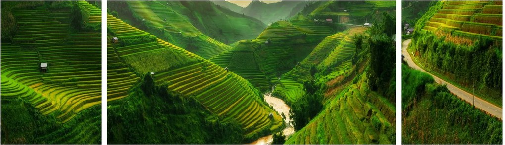 Obraz - Tarasy ryżowe Mu Cang Chai (170x50 cm)