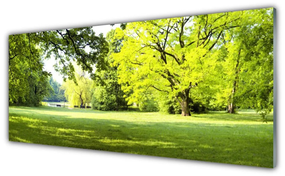 Obraz Akrylowy Trawa Drzewa Park Przyroda