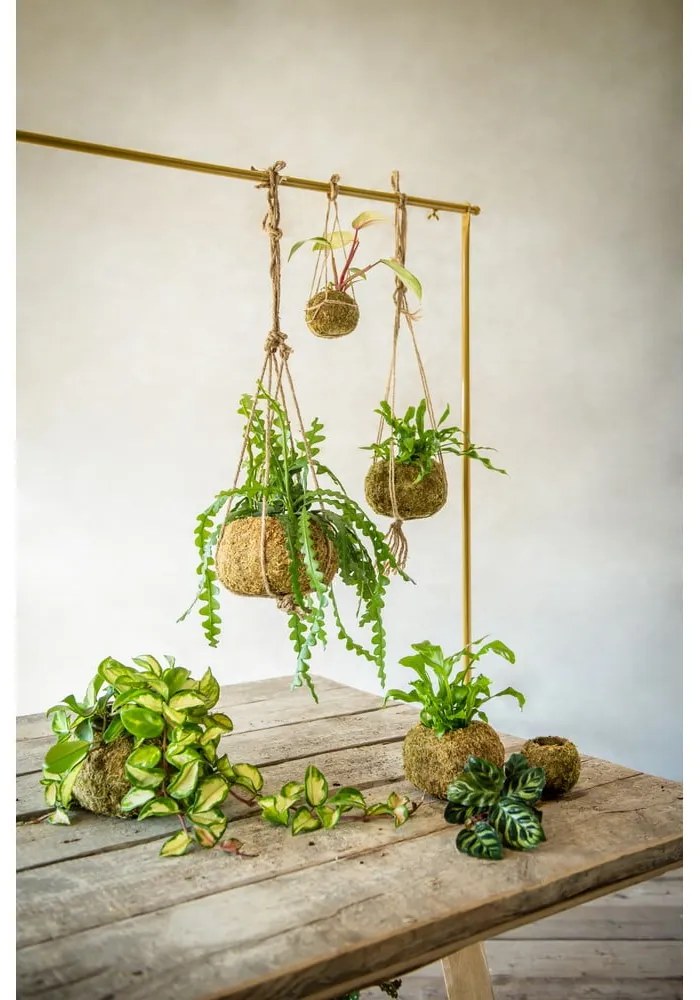 Doniczka ø 14,5 cm Kokedama – Esschert Design