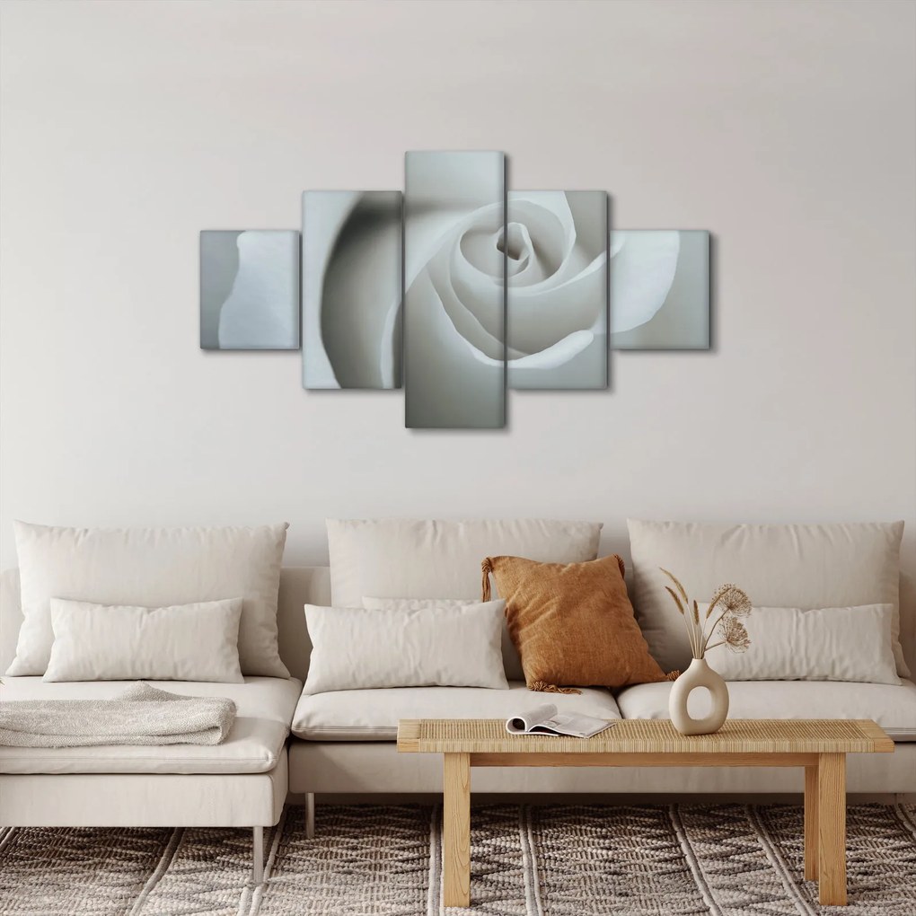 Obraz - Biała róża (125x70 cm)