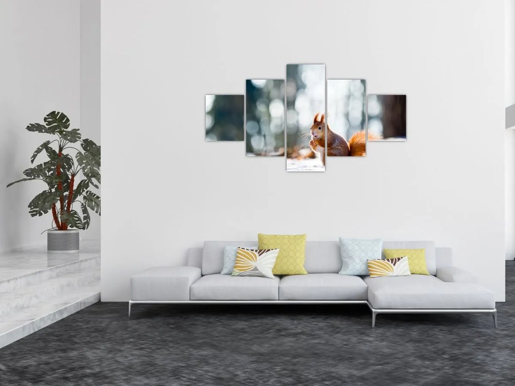 Obraz - Wiewiórka (125x70 cm)