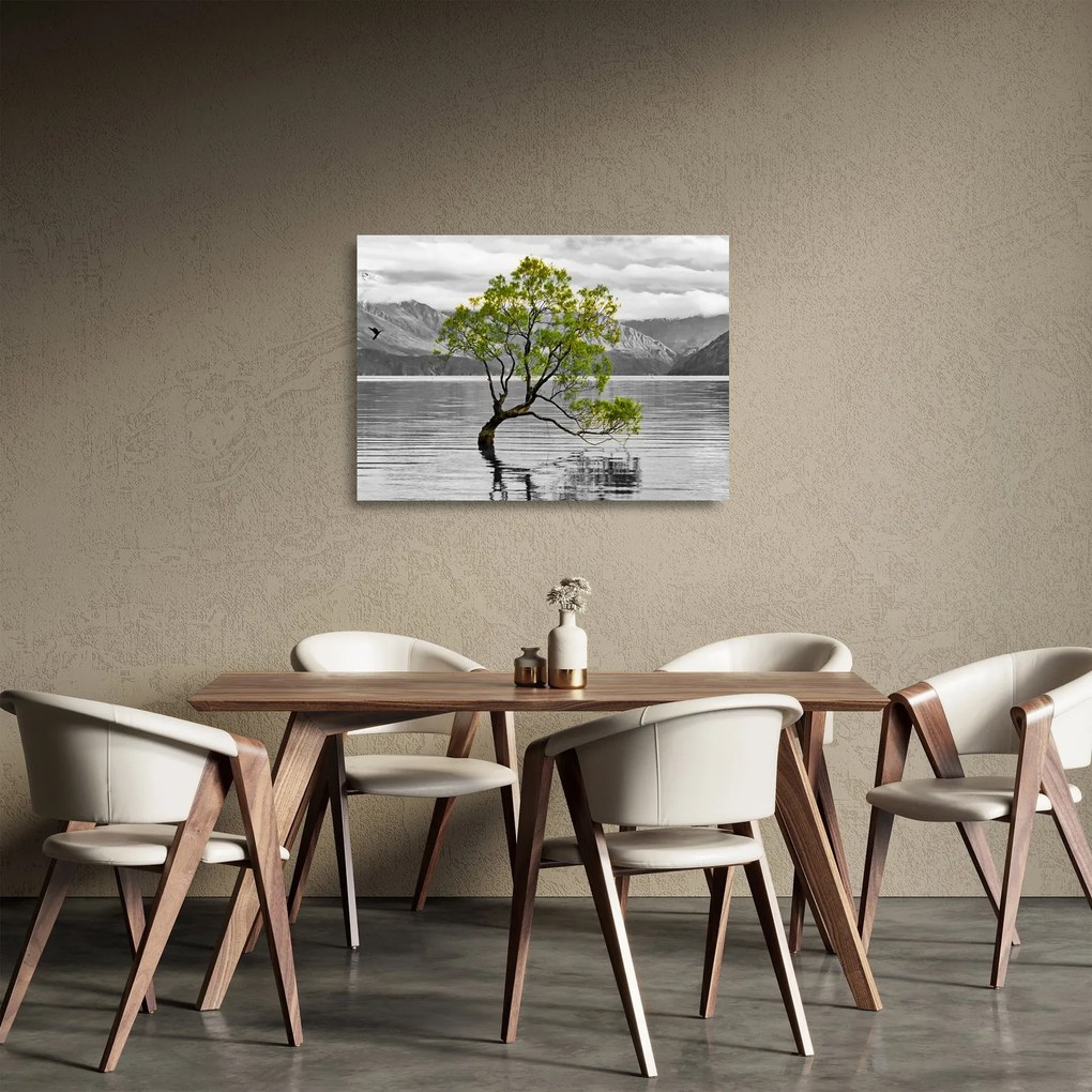 Obraz na szkle drzewa na środku jeziora (70x50 cm)