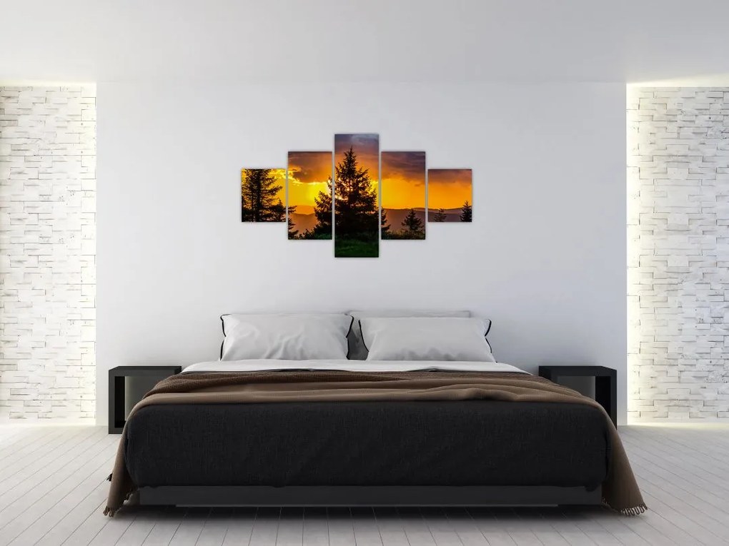 Obraz - drzewa iglaste (125x70 cm)