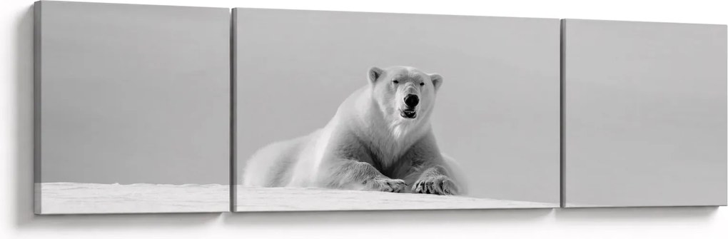 Obraz - Niedźwiedź polarny (170x50 cm)