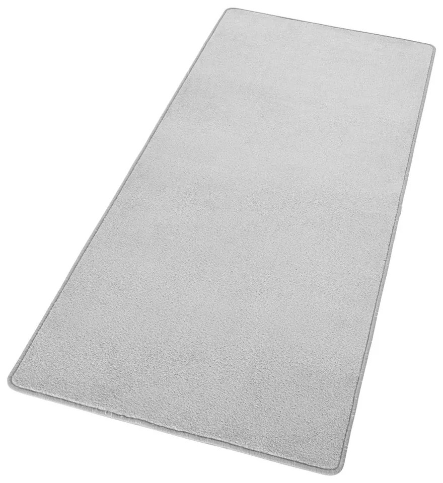 Jasnoszary chodnik 80x200 cm Fancy – Hanse Home