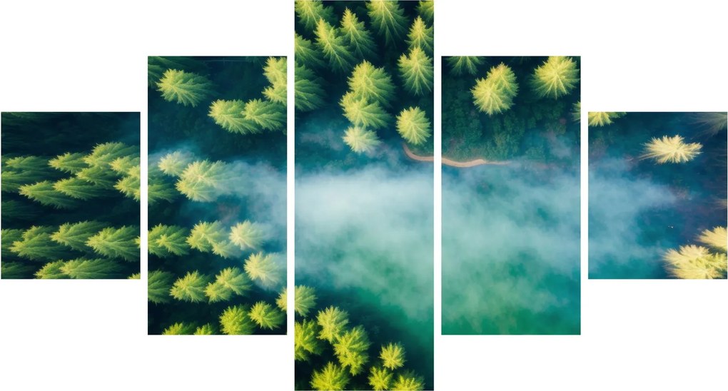 Obraz - Las spowity mgłą (125x70 cm)