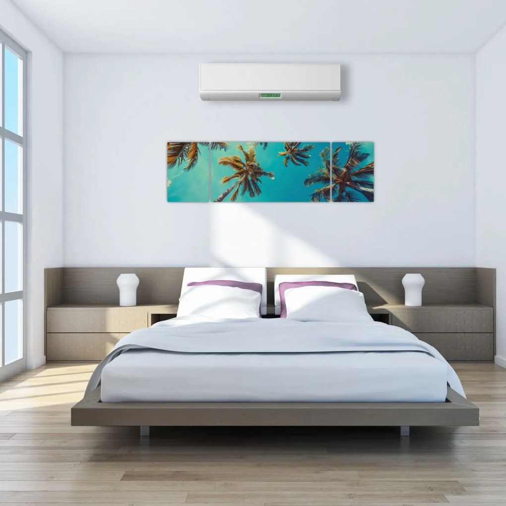 Obraz - Wysokie palmy (170x50 cm)