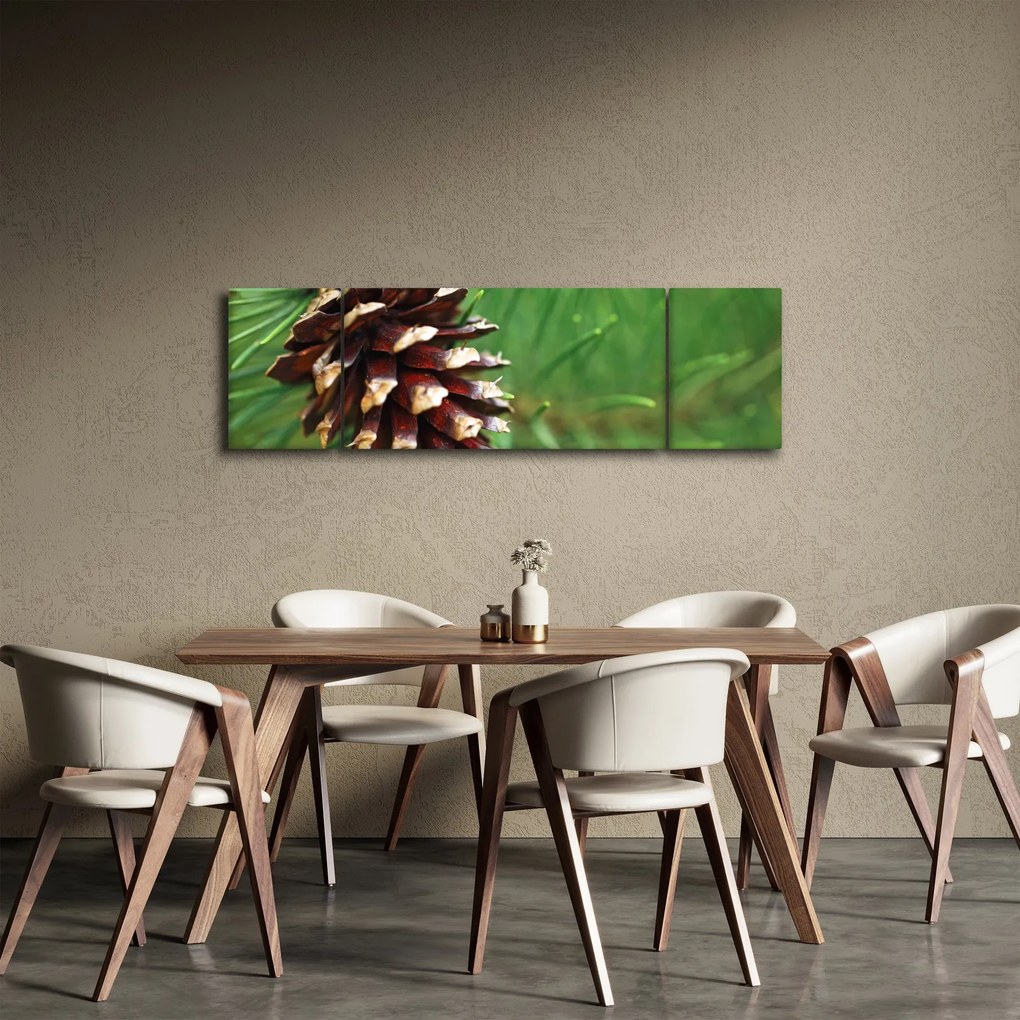 Obraz szyszki (170x50 cm)