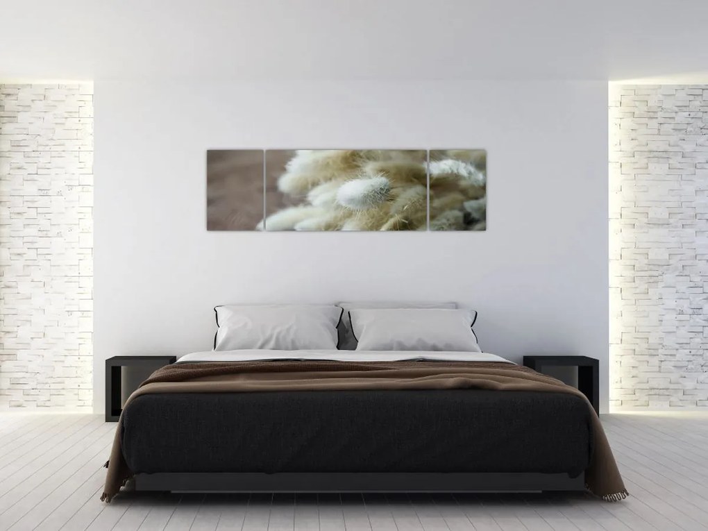 Obraz - Zajęczy ogonek (170x50 cm)