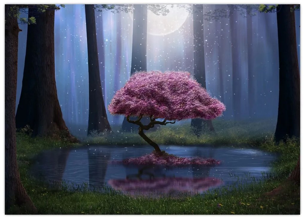 Obraz - Magiczna noc (70x50 cm)
