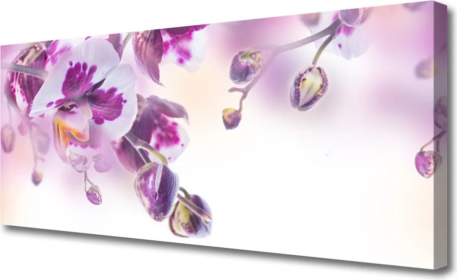 Obraz drukowany na płótnie Świeżość Letniego Ogrodu