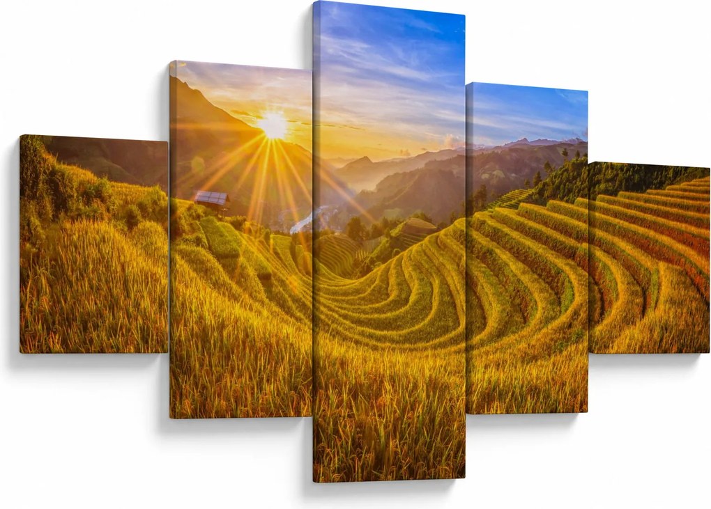 Obraz - Pole ryżowe w Wietnamie (125x70 cm)