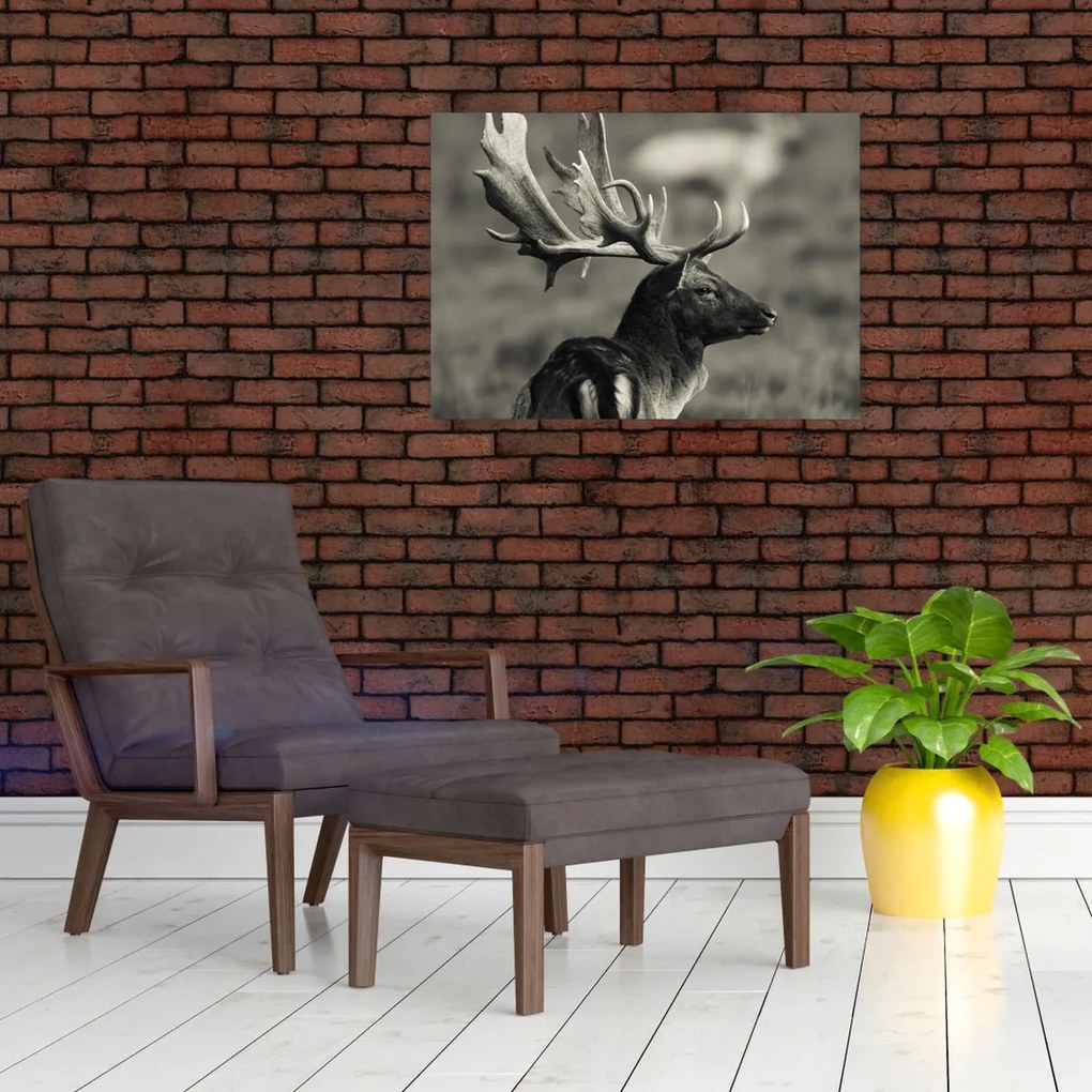 Obraz - Jeleń (70x50 cm)