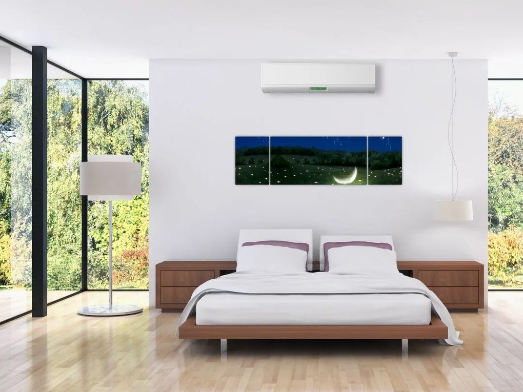 Obraz - Spadające niebo (170x50 cm)