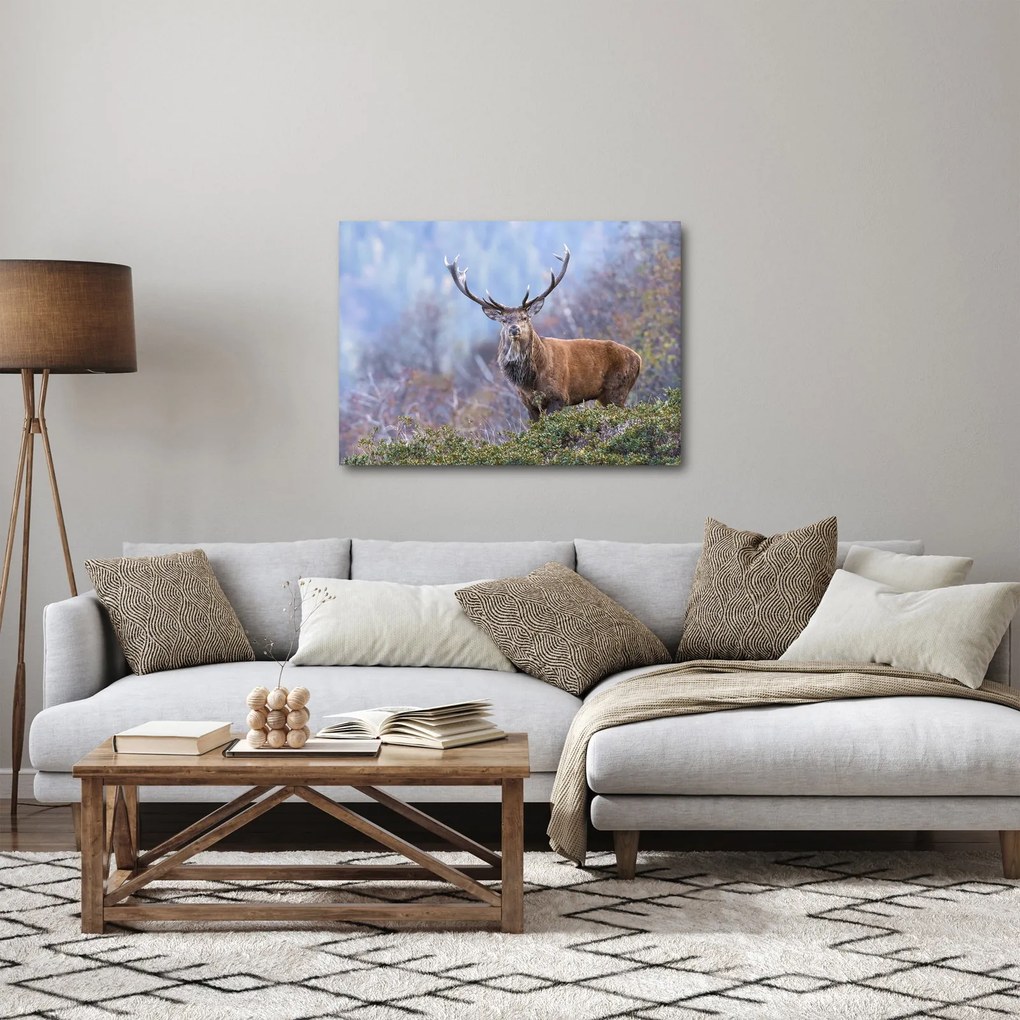 Obraz - Jeleń w krajobrazie (70x50 cm)
