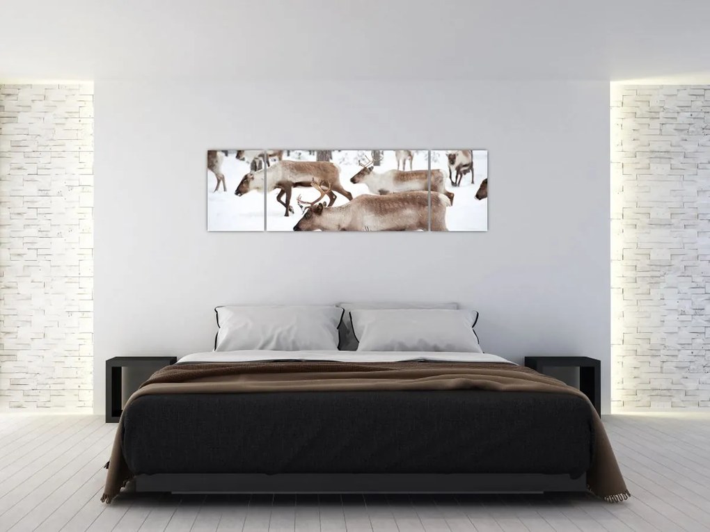 Obraz - Renifer (170x50 cm)