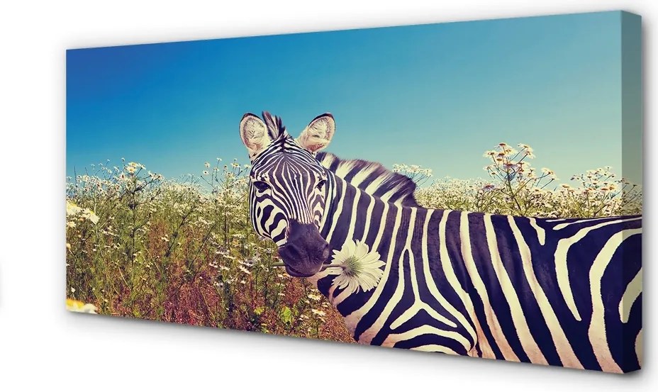 Zdjęcie na płótnie Zebra wśród Kwiatów