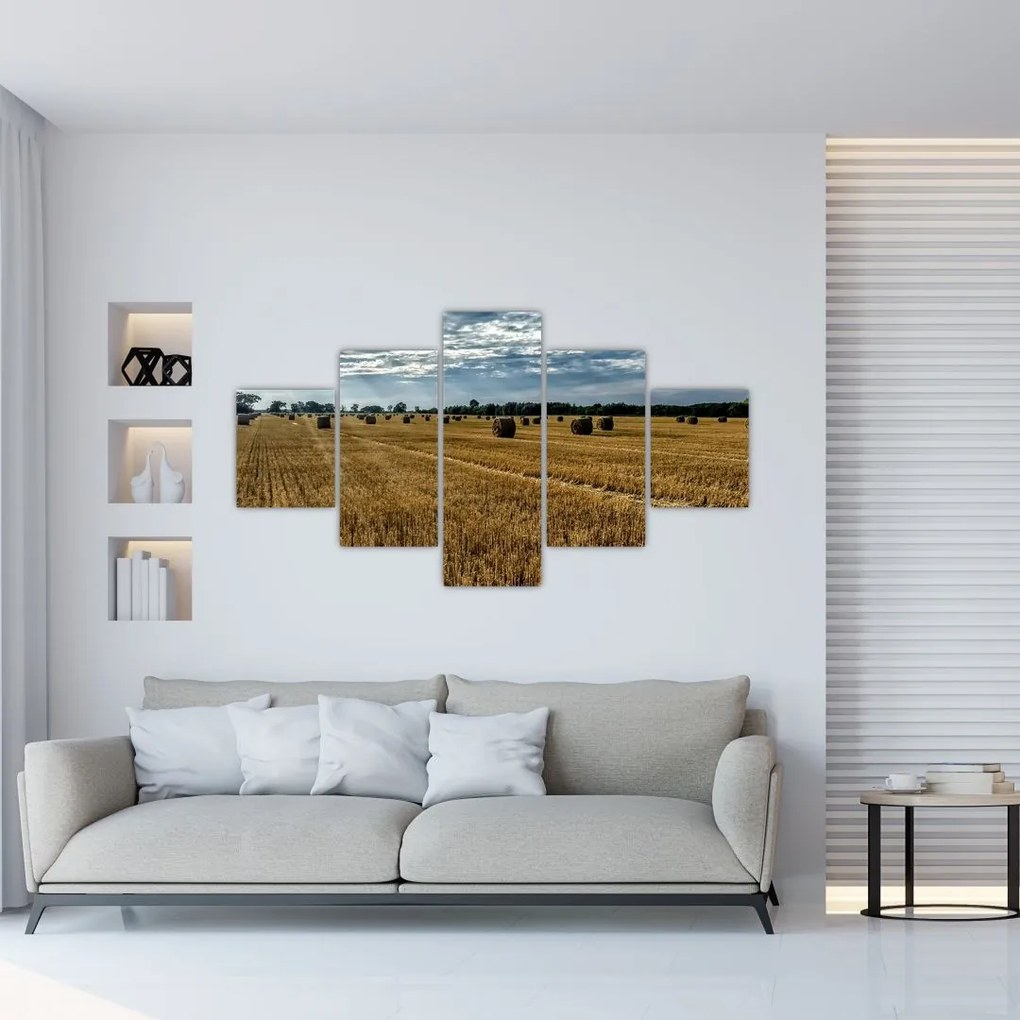 Obraz zebranego pola zboża (125x70 cm)