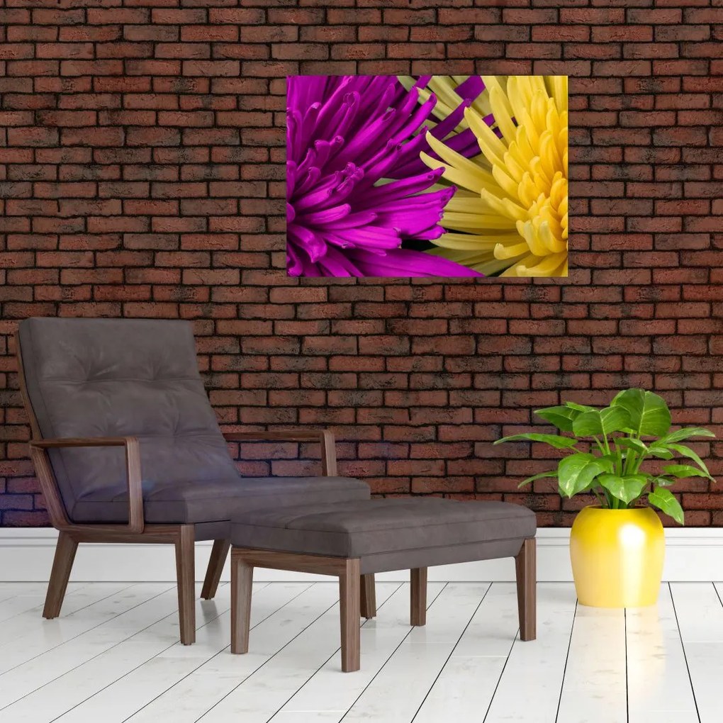 Obraz na szkle - szczegóły kwiatów (70x50 cm)