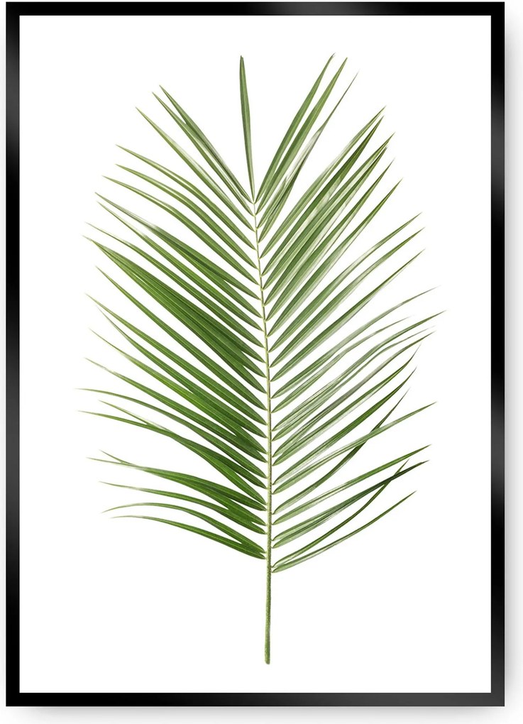 Plakat Palm Leaf Green