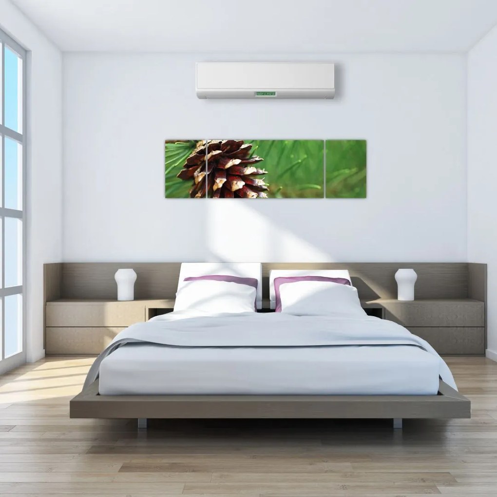 Obraz szyszki (170x50 cm)