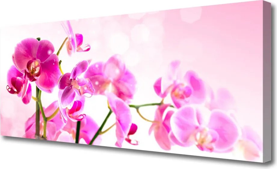 Fotoobraz na płótnie Pastelowa Kompozycja Florystyczna