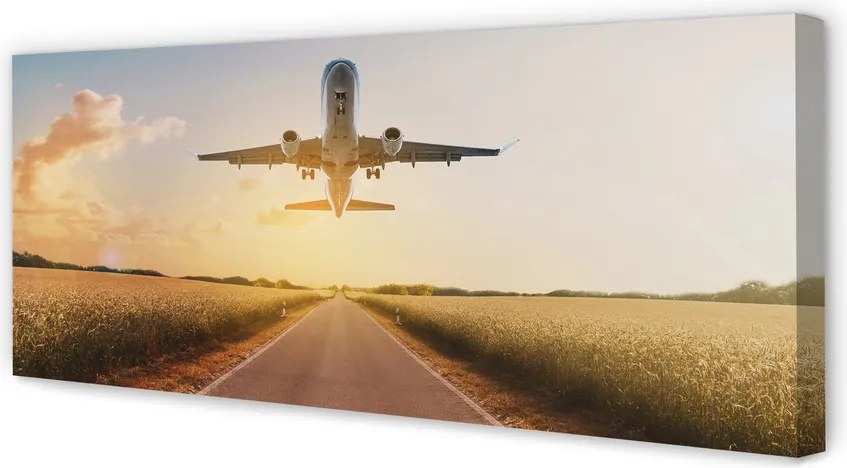 Obraz drukowany na płótnie Samolot nad Miastem o Zmierzchu